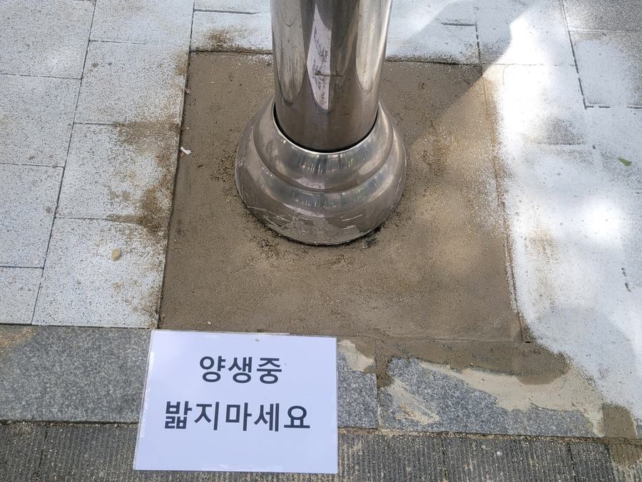 빗물이 흐르는 방향과 부분적으로 꺼진 자리가 있는지 살펴보는 모습